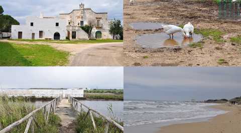 Dolmen, masserie, torrenti e spiagge: a fianco alla statale c' il Parco dune costiere